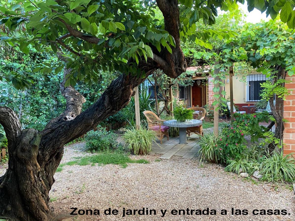 La Casa Rural De Carlos Playa de Gandia Luaran gambar